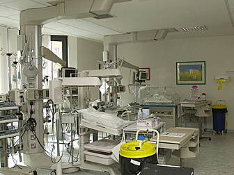 Healthy vision cells transplan...